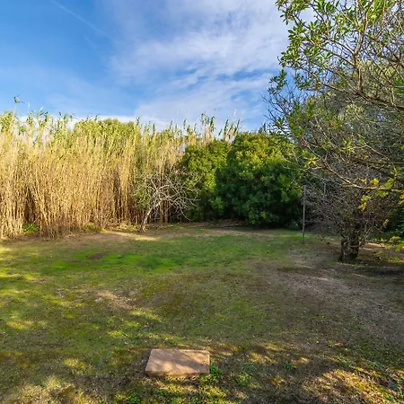Apartamento Brorent Casa Perla *
