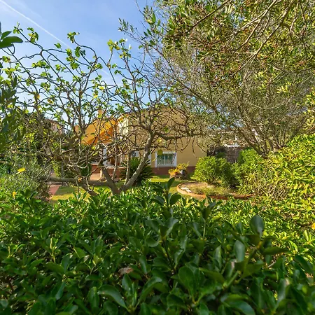 דירה Brorent Casa Perla